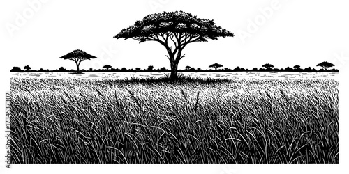 African Savanna Field Tall Grass Landscape Black and White Outline Line Art Drawing Vector Illustration