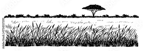 African Savanna Field Landscape Scene with Tall Grasses and Single Acacia Tree Black and White Outline Line Art Drawing