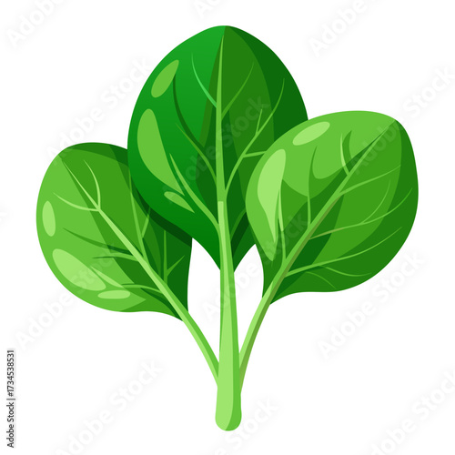 Fresh vibrant spinach leaves, perfect for healthy recipes and delicious salads, promoting wellness and nutrition, ideal for food blogs and culinary designs, naturally green