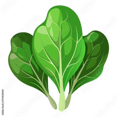 Fresh spinach leaves for a healthy lifestyle, add vibrant greens to your salad or smoothie with these nutrient-rich leafy vegetables, perfect for culinary and health-focused designs