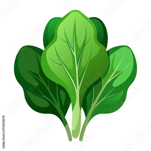 Fresh green spinach leaves, perfect for healthy eating promotions, vibrant culinary designs, and organic food marketing – a taste of garden freshness originally designed as vector art
