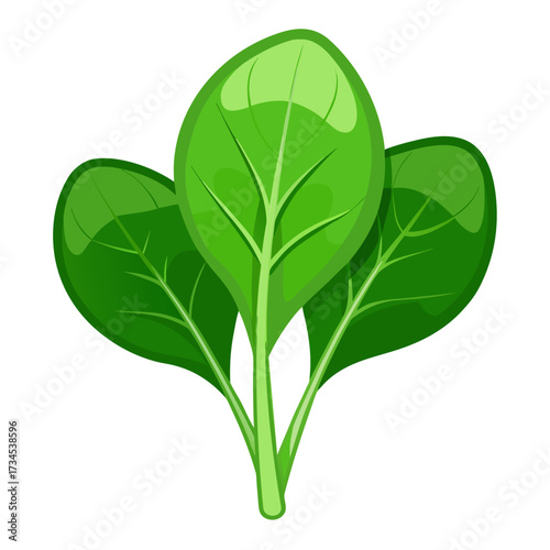 Fresh vibrant spinach leaves evoke healthy eating and sustainable farming, perfect for recipes, wellness blogs, and promoting plant-based diets, bringing a natural touch