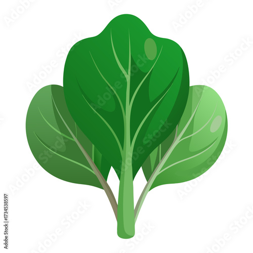 Fresh green chard ready for your healthy recipes, a vibrant addition for wellness campaigns and culinary projects, perfect for farm-to-table visuals and nutrition focused designs