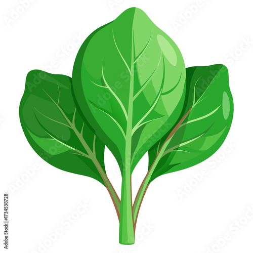 Fresh vibrant spinach leaves, a symbol of healthy eating and nutrition, perfect for culinary creations and wellness campaigns, adding a touch of nature's goodness to your designs