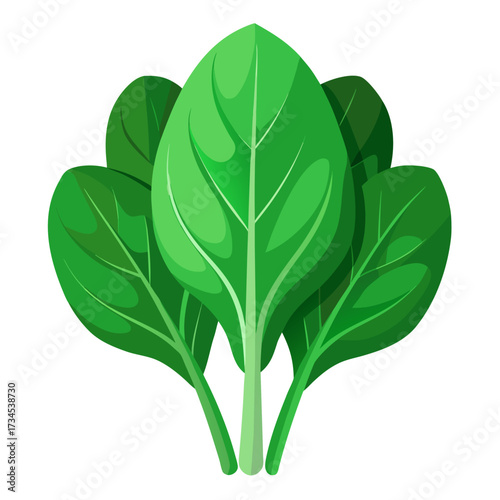 Fresh spinach bunch, a vibrant touch for healthy recipes, salads, and vibrant culinary creations, perfect for adding a nutritious green element to your designs and projects