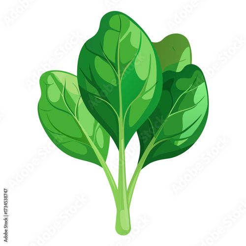 Fresh spinach bunch offers vibrant, healthy greens for salads, smoothies, and nutritious meals, symbolizing wellness and vitality from farm to table, perfect for food blogging