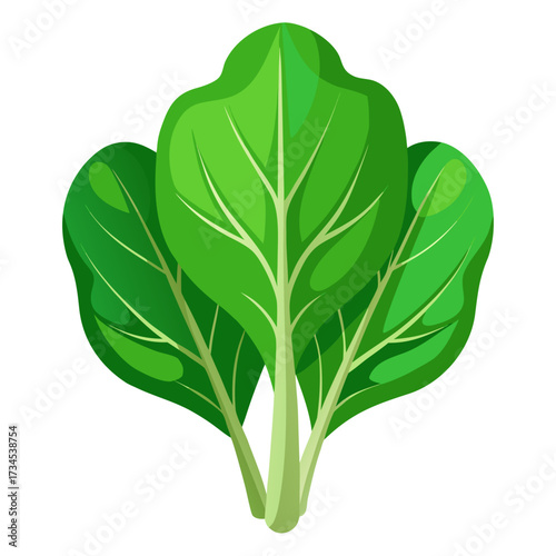 Fresh vibrant green chard, a healthy addition to any diet, perfect for food bloggers and nutritionists highlighting plant based eating and delicious recipes. Originally a scalable graphic.