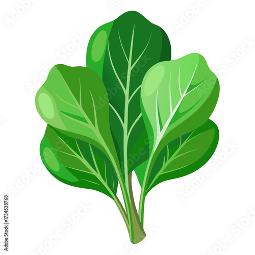 Fresh vibrant spinach bunch, a healthy ingredient for summer salads, smoothies, and vegetarian dishes, offering nutrition and vitality for a balanced lifestyle, ideal for food blogs