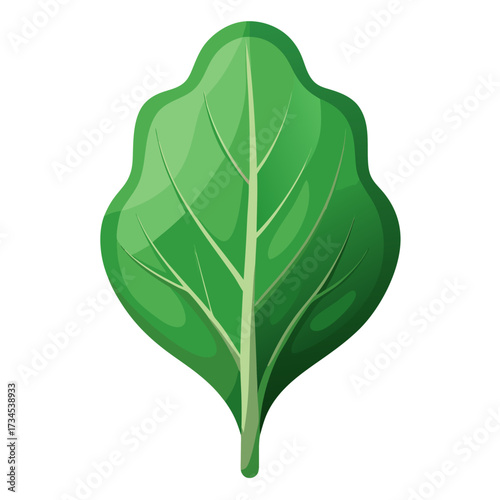 Fresh green spinach leaf with detailed veins, perfect for healthy eating campaigns and vibrant culinary designs, adds a natural touch to your eco-friendly project