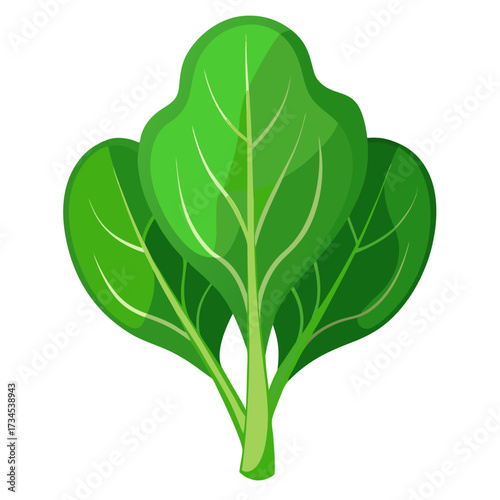 Fresh spinach leaves, a healthy and vibrant element perfect for recipes, nutrition guides, and promoting wellness, vector graphic ideal for food blogs and educational content