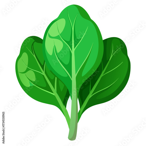 Fresh vibrant spinach bunch, perfect for healthy eating promotions and recipe illustrations, showcasing natural goodness and culinary creativity for a nutritious lifestyle