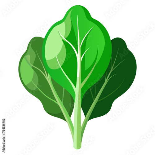 Vibrant fresh spinach bunch, perfect for healthy recipes and nutrition campaigns, adds a natural, organic touch to your food-related projects with its bright, clean design