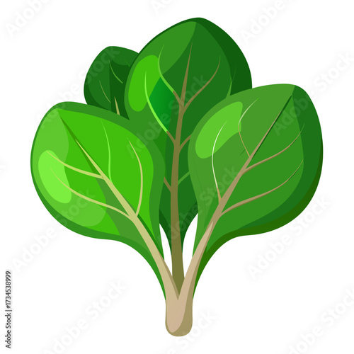 Fresh vibrant spinach bunch, a delightful addition to any healthy recipe or food-related project, bringing a touch of nature's goodness to your designs and inspiring wellness