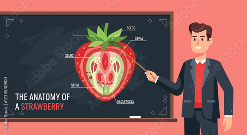 Anatomy of a Strawberry Presentation with Teacher and Blackboard Illustration