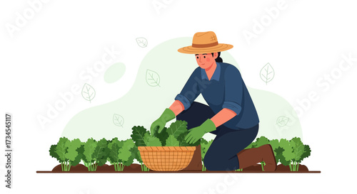 Female farmer harvesting fresh green leafy vegetables in a basket in the field illustration