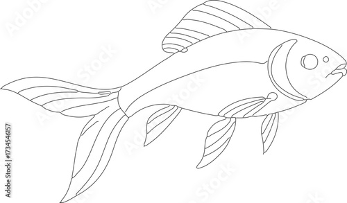 Simple Outline Graphic Goldfish Aquatic Animal Line Art Illustration