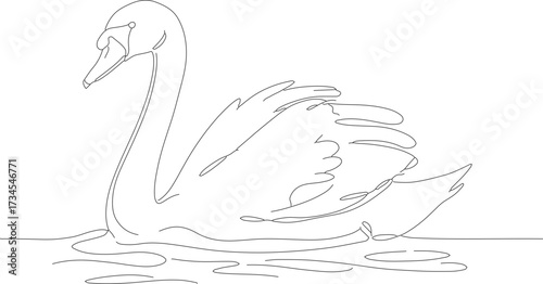 Simple Outline Drawing of a Graceful Swan Floating on Water Body