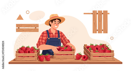 Illustration of a smiling farmer harvesting fresh raspberries into wooden crates for market