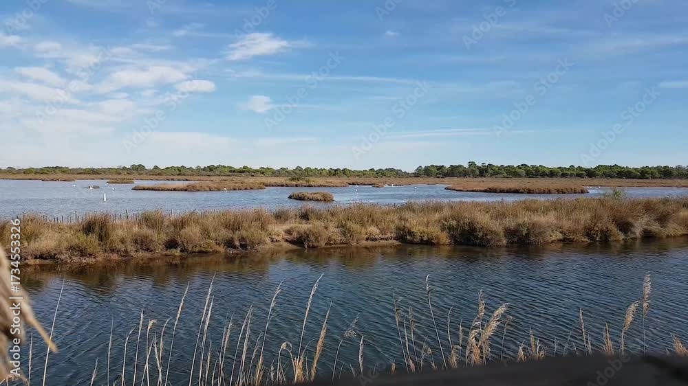 Marais de l'Espiguette
