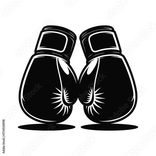Pair of black boxing gloves ready for intense combat sports competition and training sessions