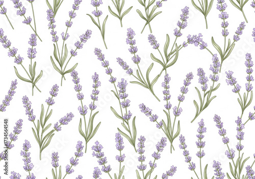 Lavender Floral Background