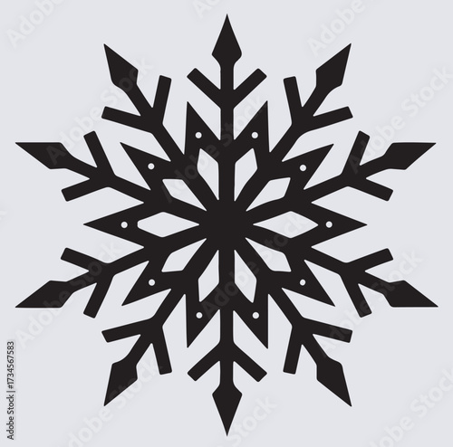 frosty snowflake silhouette vector art illustration, snowflake on white background