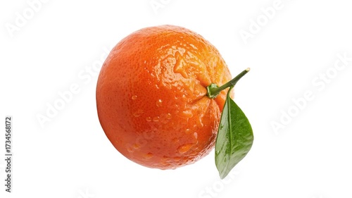 Orange Isolated on Transparent Background