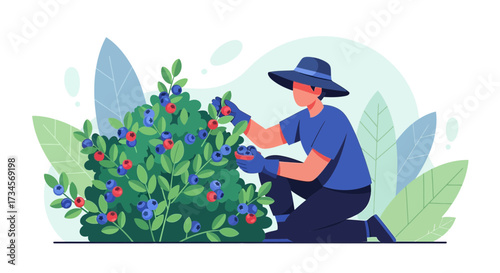 Harvesting happiness: A farmer's labor of love among the blueberry bushes of summer delight