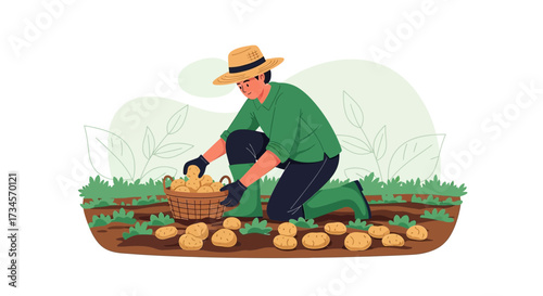 Illustration of a farmer harvesting potatoes in a field during the autumn season