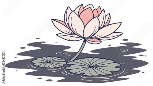 A delicate pink lotus flower with green leaves floating on dark water
