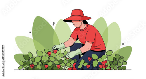 Illustration of a woman harvesting fresh strawberries in a field on a sunny day showcasing the joy