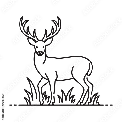 Majestic stag with antlers standing in grass simple outline art for nature projects isolated on white background silhouette vector