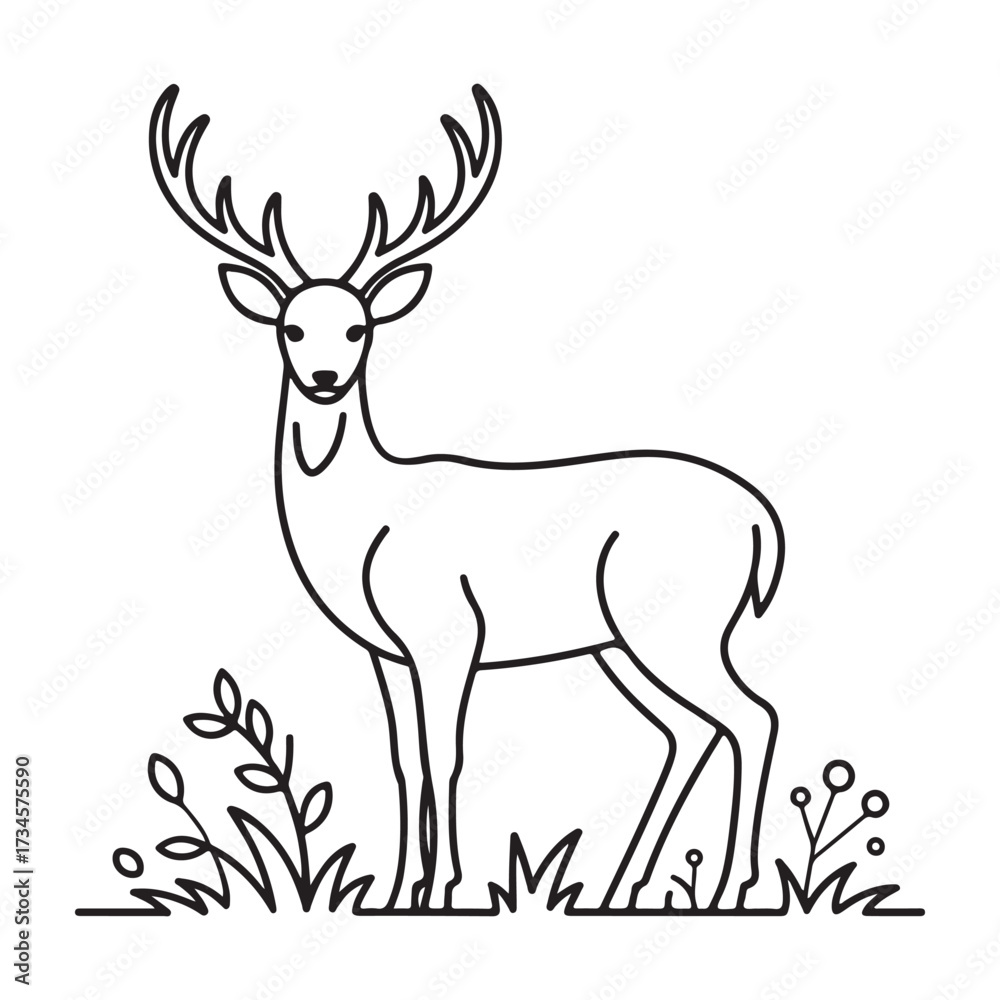 Obraz premium Majestic stag with antlers standing in meadow detailed line art cartoon outline art isolated on white background silhouette vector