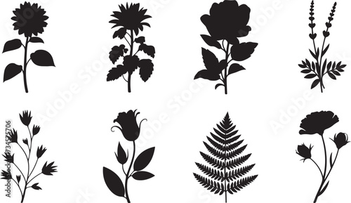 Elegant Floral Silhouettes A Collection of Botanical Designs for Creative Projects and Artistic Applications Featuring Various Flower and Plant Species