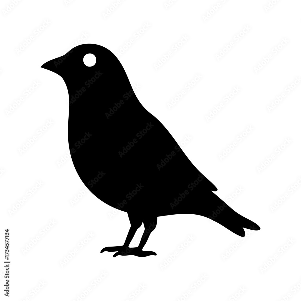 Obraz premium Black Silhouette of a Small Bird with a White Eye on White