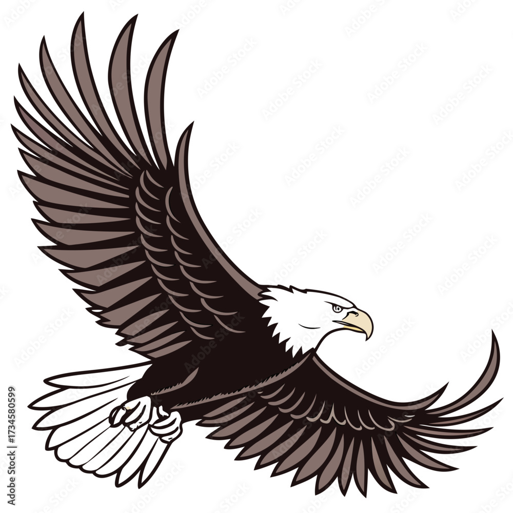 Fototapeta premium Illustration of an eagle in flight with spread wings