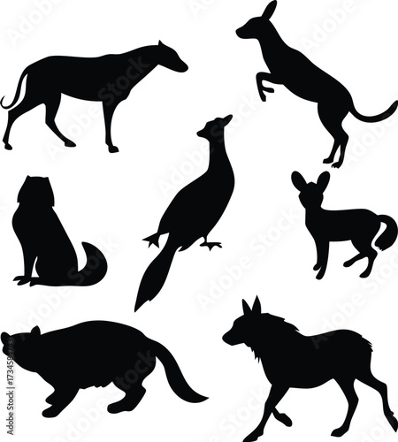Diverse Animal Silhouettes A Collection of Mammals and Birds in Striking Black Shapes Set Against a Plain Background