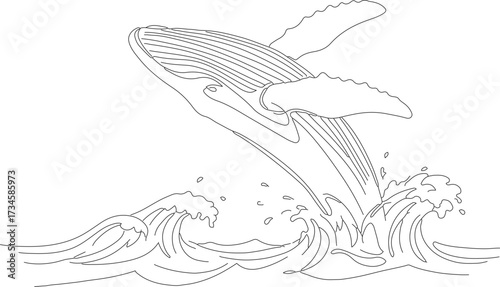 Hand Drawn Outline Whale Leaping From Ocean Waves Illustration
