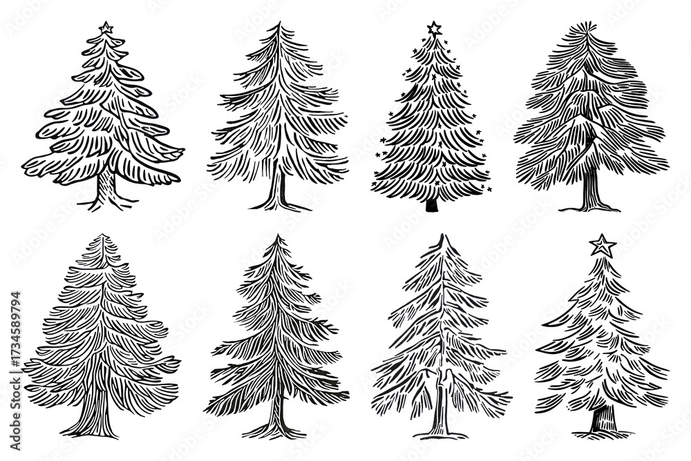 Obraz premium PNG Vintage evergreen tree illustrations, element set on transparent background