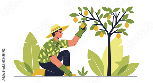 Illustration of a farmer harvesting lemons from a tree in a rural setting creating a serene