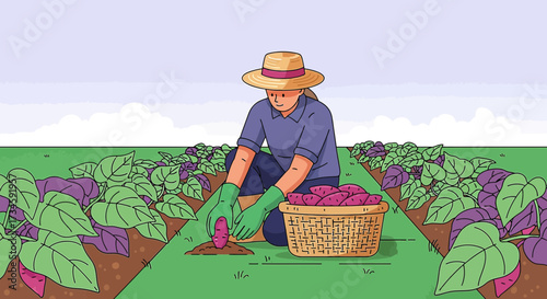 Illustration of a farmer harvesting sweet potatoes in a vibrant field setting