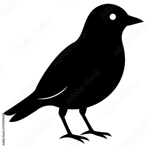 Thrush bird icon illustration minimal black isolated vector clean simple modern design