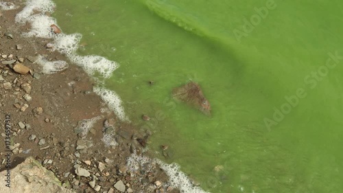 Blaualgen im ausgetrockneten Edersee