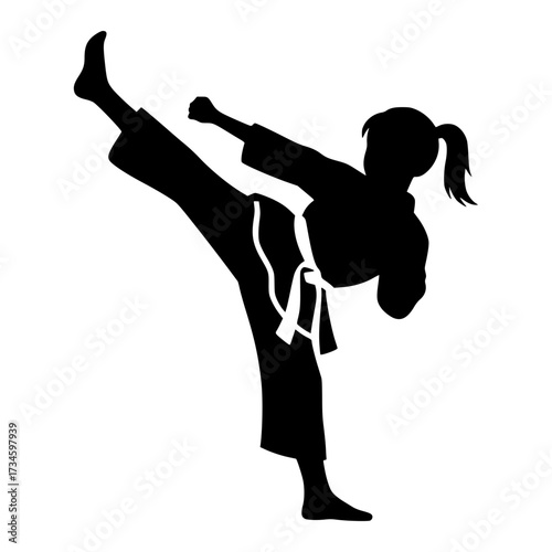 Karate Silhouette in Action: A dynamic silhouette of a karate practitioner executing a powerful kick, embodying strength, precision, and discipline.