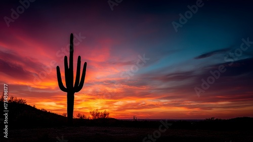 Desert sunset silhouette cactus