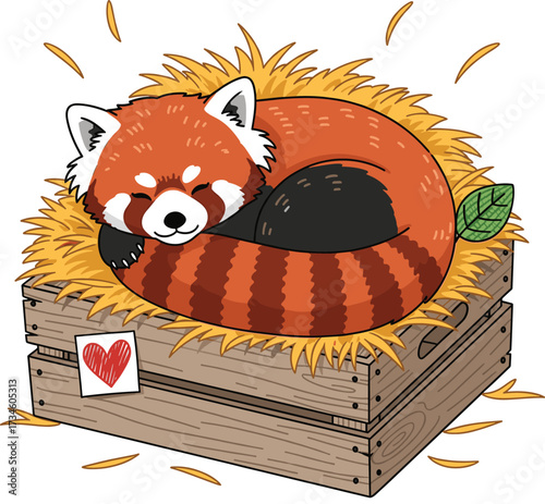 Cartoon Red Panda Resting in Crate with Straw Vector Illustration.