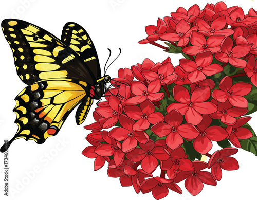 A vibrant illustration of a yellow and black butterfly delicately perched on a cluster of red flowers.