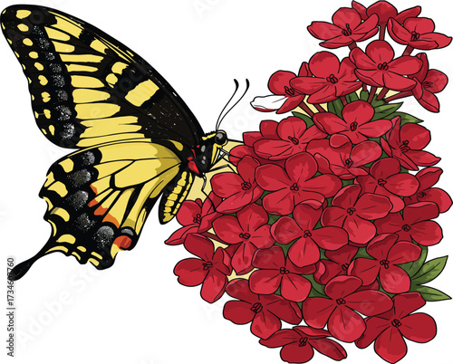 A detailed illustration of a yellow and black Eastern Tiger Swallowtail butterfly perched on a vibrant cluster of small red flowers.