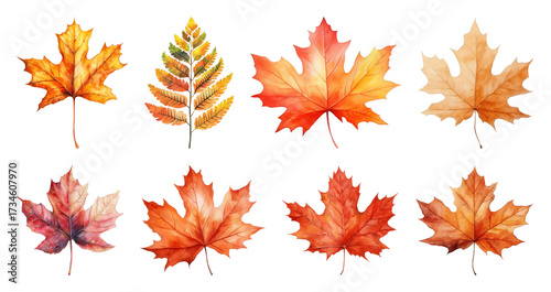 Vibrant autumn leaves illustration.