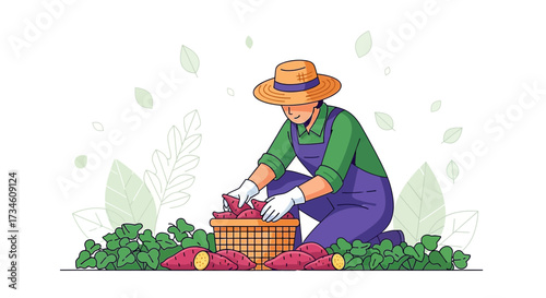 Illustration of a farmer harvesting sweet potatoes in a field with natural elements